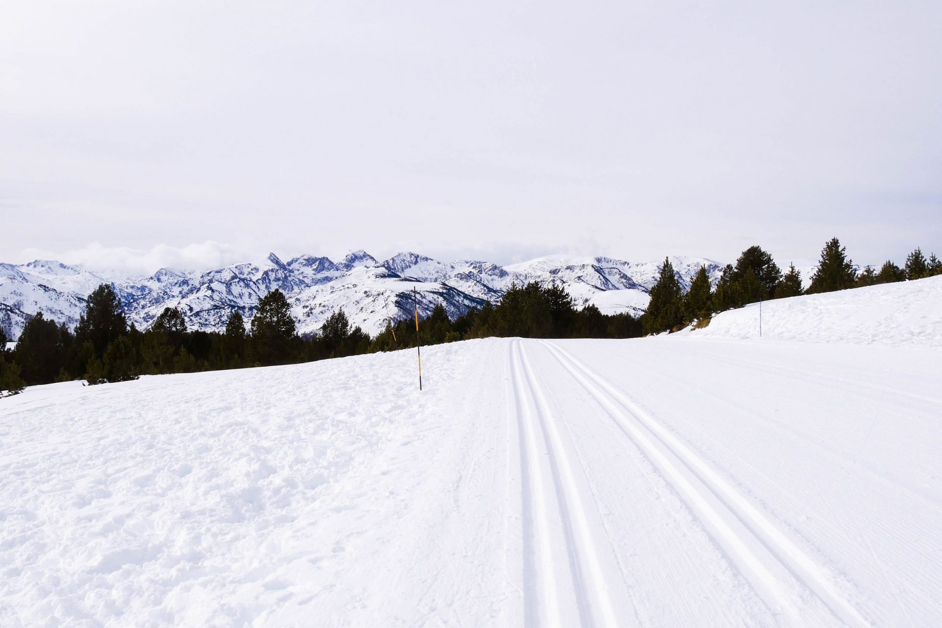 Ski de fond au plateau de